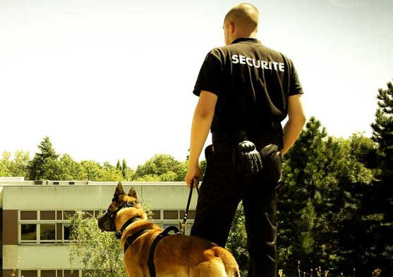 agent-de-securite-cynophile-53176852-1